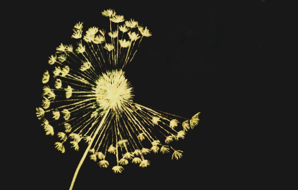 SCRATCH ART com MASATAKA KUROYANAGI e MAMI HIGUCHI