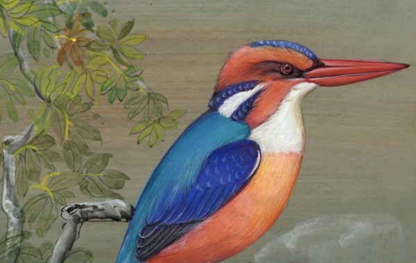 PINTURA MINIATURA INDIANA