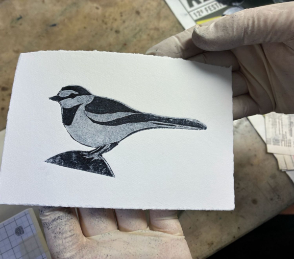 Ponta Seca sobre PVC e Tetrapak